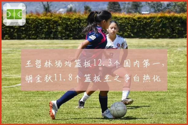 王哲林场均篮板12.3个国内第一,胡金秋11.8个篮板王之争白热化