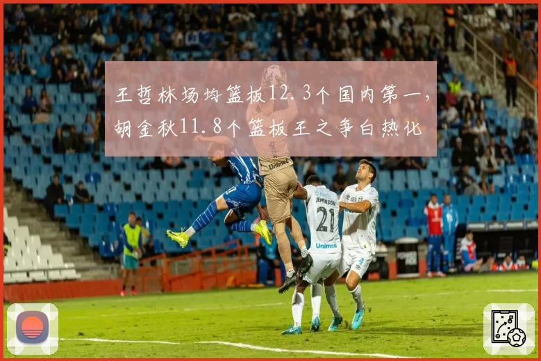 王哲林场均篮板12.3个国内第一,胡金秋11.8个篮板王之争白热化